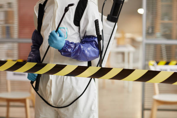 Professional Sewage Cleanup technician working in Howey-in-the-Hills, FL